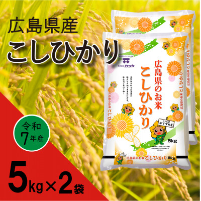 広島県産コシヒカリ　10kg【1254827】