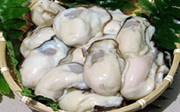 むき身・殻付き牡蠣セット（加熱調理用：むき身1kg・殻付き牡蠣10個）配送時期：2月ごろ