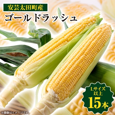 【期間限定】安芸太田町産とうもろこし(ゴールドラッシュ)　Lサイズ以上15本!【配送不可地域：離島】【1076730】