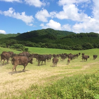 広島産黒毛和牛　「見浦牛」のカルビ(300g)【配送不可地域：離島】【1004170】