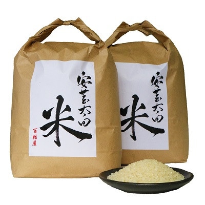 【令和7年産】コシヒカリ　白米5kg×2袋　計10kg【1441136】