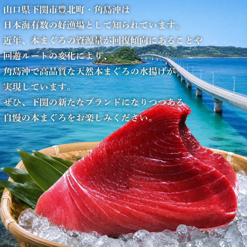 ãããšã ãå€©ç¶æ¬ãŸããã®ã¿äœ¿çšã ãŸããããã 80gÃ10P å·å æ·»å ç© ä¿åæ èäžäœ¿çš äžé¢ è§å³¶ç£ å°åã ãã®ãã ãŸãã 鮪 ãã°ã æ¬é®ª ãŸããã®ããã å€©ç¶ å±±å£