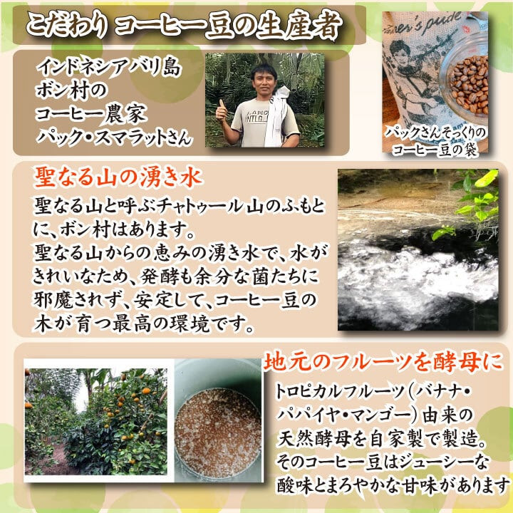 スペシャルティ コーヒー豆セット インドネシア 300g(100g×3袋) 下関市 山口