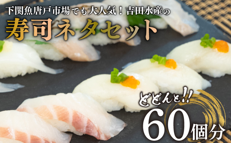 寿司 ネタ セット 60貫 (60個分) 冷凍 真空パック ふぐ 鯛 ヒラメ 各20枚入 540g ( 刺身 海鮮丼 漬け丼 魚介 高級魚 熟成 まふぐ フグ 真鯛 平目 ひらめ たい タイ 海鮮 詰め合わせ 下関 唐戸市場 直送 寿司パーティ お楽しみ 父の日) 山口県 下関市