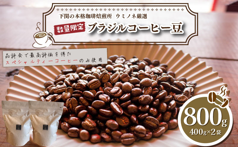 【豆】 訳あり コーヒー豆 800g ( 400g × 2袋 ) 数量限定 ブラジル 珈琲 自家焙煎 下関 山口 再入荷 2024年度入荷分