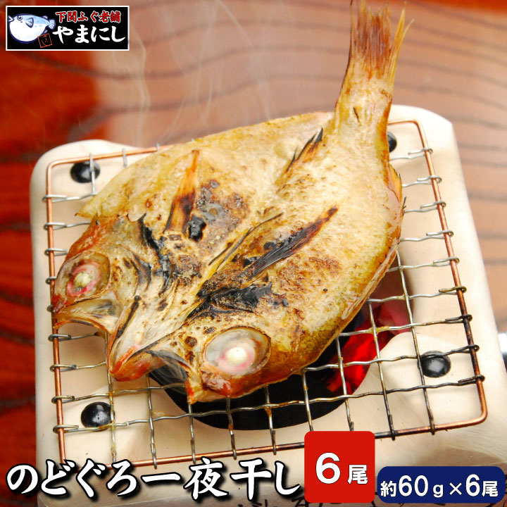 【7営業日以内発送】 のどぐろ開き干し 6枚 詰め のどぐろ 下関産高級魚 ノドグロ のどぐろ開き のどぐろ開き干し のどぐろ干物 のどぐろ一夜干し アカムツ 高級魚 脂のり 国産 干物セット 海鮮 お取り寄せ 産地直送 冷凍 干物 ギフト 贈答用 6枚 下関市 山口県