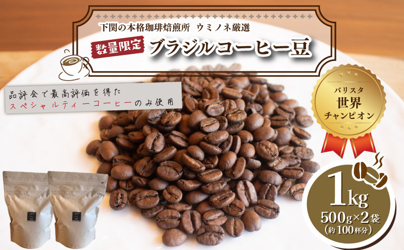 【豆】 訳あり コーヒー豆 1kg ( 500g × 2袋 ) ブラジル レッド カトゥアイ 数量限定 ( コーヒー 珈琲 出荷当日 自家焙煎 スペシャルティコーヒー ホットコーヒー アイスコーヒー コーヒータイム こだわりコーヒー 飲料 ) ウミノネコーヒー 下関 山口