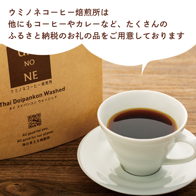 スペシャルティ コーヒー豆セット インドネシア 300g(100g×3袋) 下関市 山口
