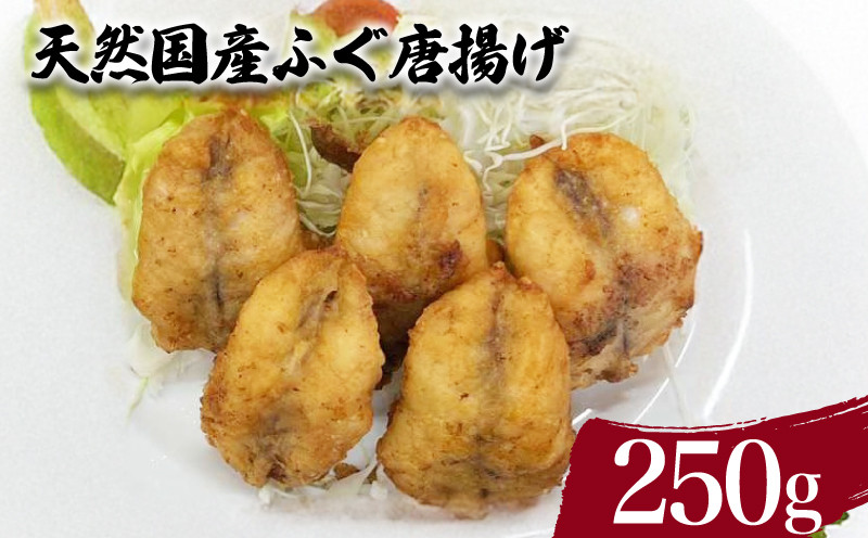 天然 国産 ふぐ から揚げ 250g ( 鮮魚 魚介 海鮮 フグ 河豚 海の幸 加工品 惣菜 唐揚げ お手軽 便利 簡単調理 揚げるだけ おかず ごはんのお供 ご飯 お米 夕食 おやつ おつまみ 酒 ビール ) 下関 山口