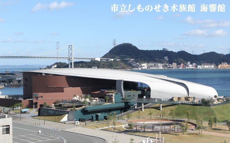 下関 共通宿泊券 3,000円分 観光 関門海峡 宿泊 リゾート ホテル 山口