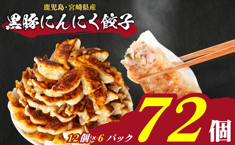 訳あり 黒豚にんにく餃子 72個 12個×6パック 冷凍 小分け 日指定可 大容量 ぎょうざ ギョウザ ギョーザ