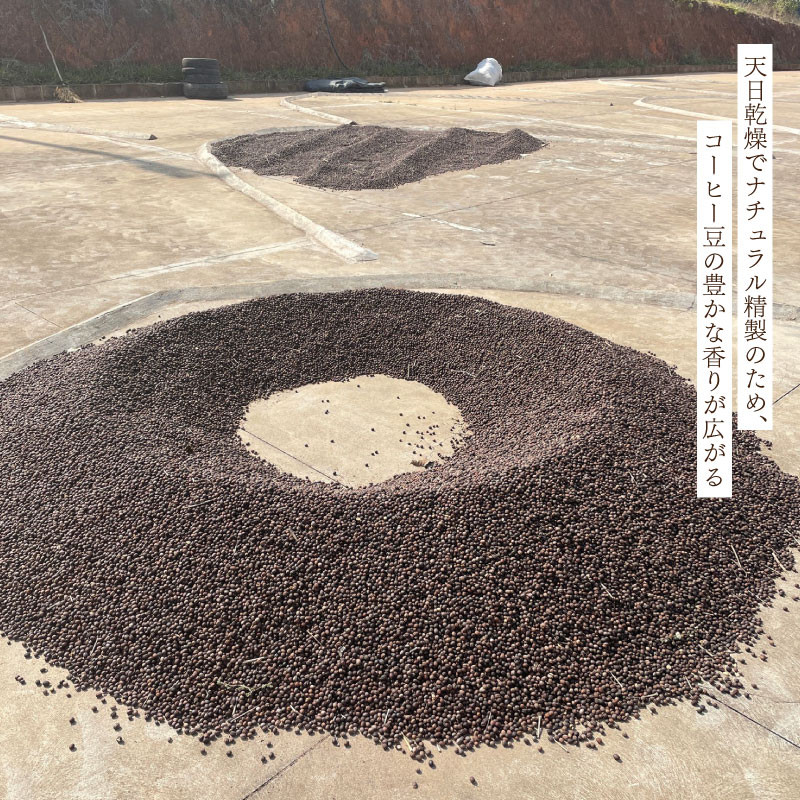 ãè±ã èš³ãã ã³ãŒããŒè± 1kg ( 500g à 2è¢ ) ãã©ãžã« ã¬ãã ã«ãã¥ã¢ã€ æ°ééå® ( ã³ãŒã㌠çç² åºè·åœæ¥ èªå®¶çç
ã¹ãã·ã£ã«ãã£ã³ãŒã㌠ãããã³ãŒã㌠ã¢ã€ã¹ã³ãŒã㌠ã³ãŒããŒã¿ã€ã ãã ããã³ãŒã㌠飲æ ) ãŠãããã³ãŒã㌠äžé¢ å±±å£
