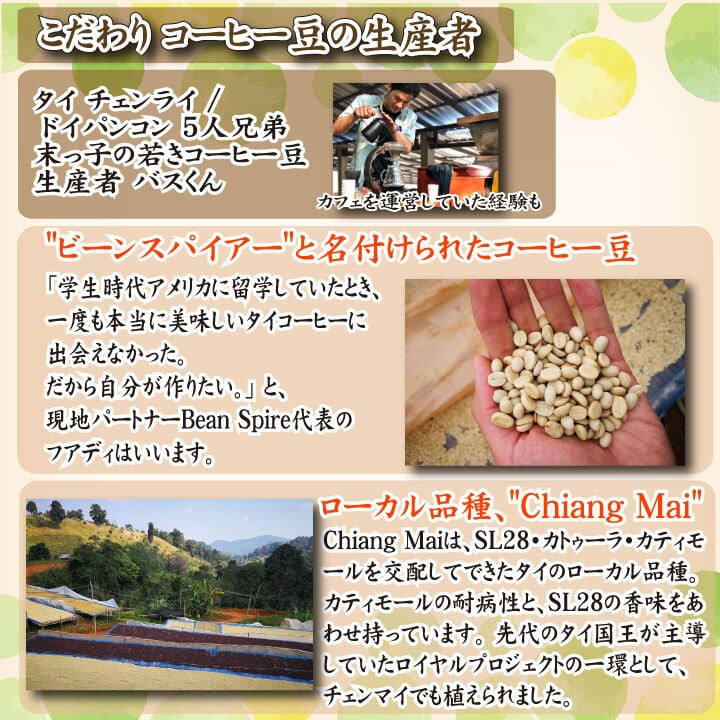 繧ケ繝壹す繝」繝ォ繝繧」 繧ウ繝シ繝偵シ雎繧サ繝繝 繧ソ繧、 300g(100gテ3陲) 荳矩未蟶 螻ア蜿」