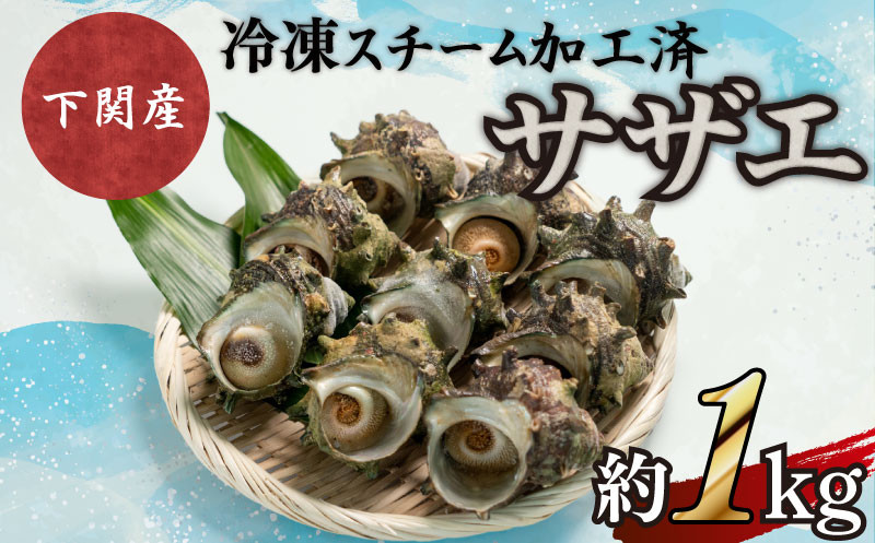 サザエ 約1kg 7〜12粒 特大サイズ 刺身 冷凍 スチーム加工 包装 レンジ で チンするだけ 下関 阿川 漁協 コラボ 産地直送 貝