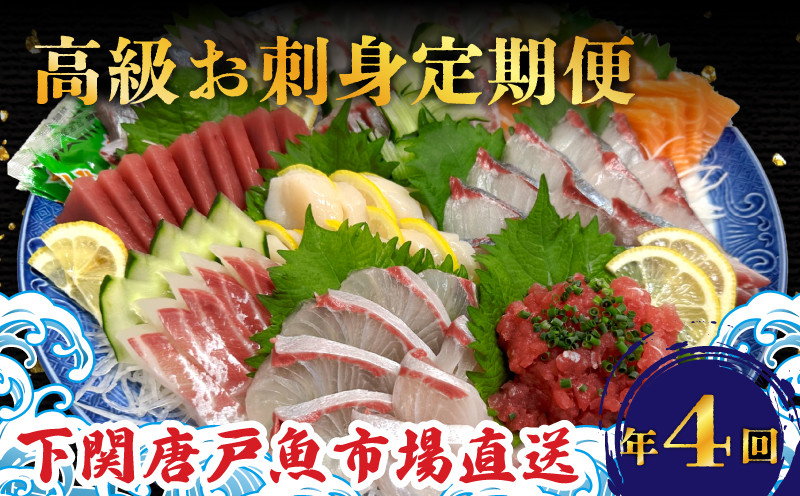 定期便 4回 唐戸市場直送 お刺身 各2人前 冷凍 ( 定期便 高級 鮮魚 魚介 海 冷凍 小分け 定期便 お楽しみ 人気 刺身 刺し身 さしみ お手軽 解凍するだけ 地魚 産地直送 とらふく ふぐ トラフグ まふぐ マフグ サーモン 鮭 タコ たこ はも ハモ アジ シマアジ 海鮮 刺身 冷凍 小分け 定期便) 下関 山口県