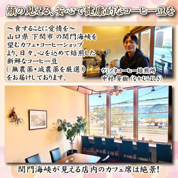 スペシャルティ コーヒー豆セット エチオピア 300g(100g×3袋) 下関市 山口