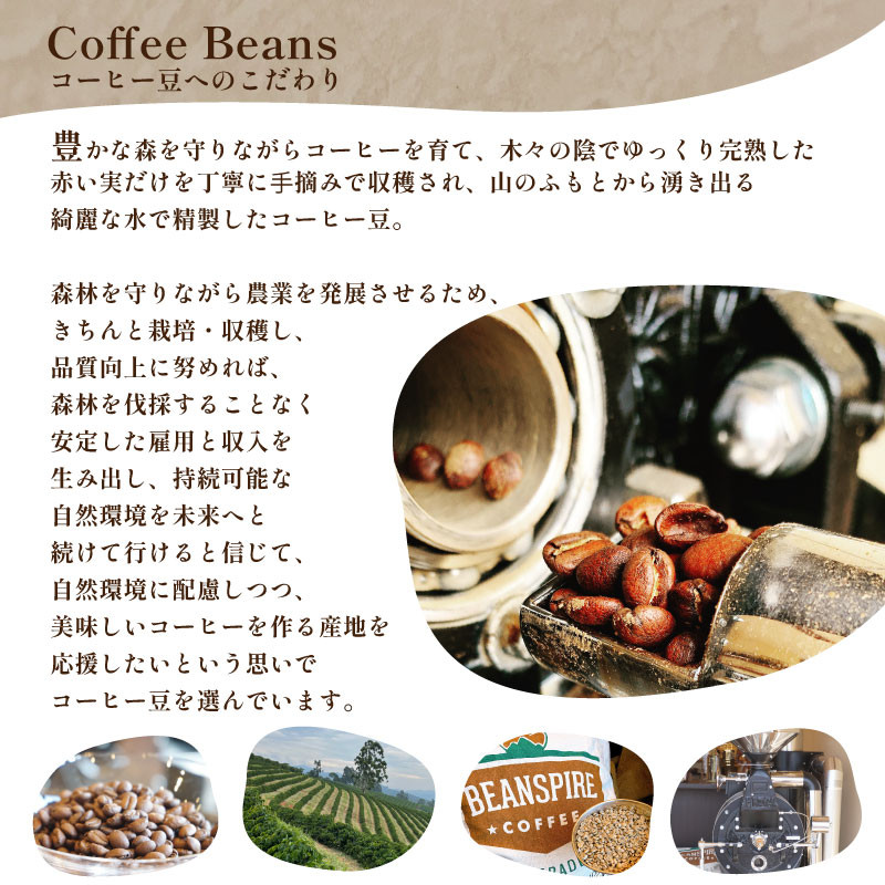 ãè±ã èš³ãã ã³ãŒããŒè± 800g ( 400g à 2è¢ ) æ°ééå® ã¿ã€ çç² èªå®¶çç
äžé¢ å±±å£