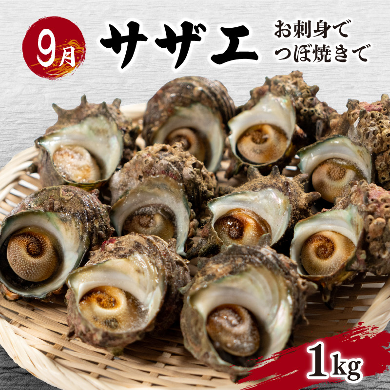 定期便 惣菜 年六回 隔月定期便 鮮魚 魚介 海鮮 魚定期便 人気 ランキング お手軽 お魚 サーモン 鮭 蛸 タコ とらふぐ あんこう のどぐろ サザエ さざえ 惣菜 おかず 夕食 唐戸 仲卸 組合 下関 山口
