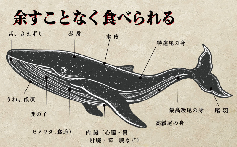 鯨 ( くじら ) 霜降り 肉 500g 冷凍 高級 おつまみ 刺身 刺し身 ユッケ カツ 竜田揚げ 揚げ物 本場 いさな 鯨 赤身肉 ブロック肉 自宅 自宅用 お中元 お歳暮 小分け 美容 ダイエット 高たんぱく 下関鯨屋日新丸 下関 山口