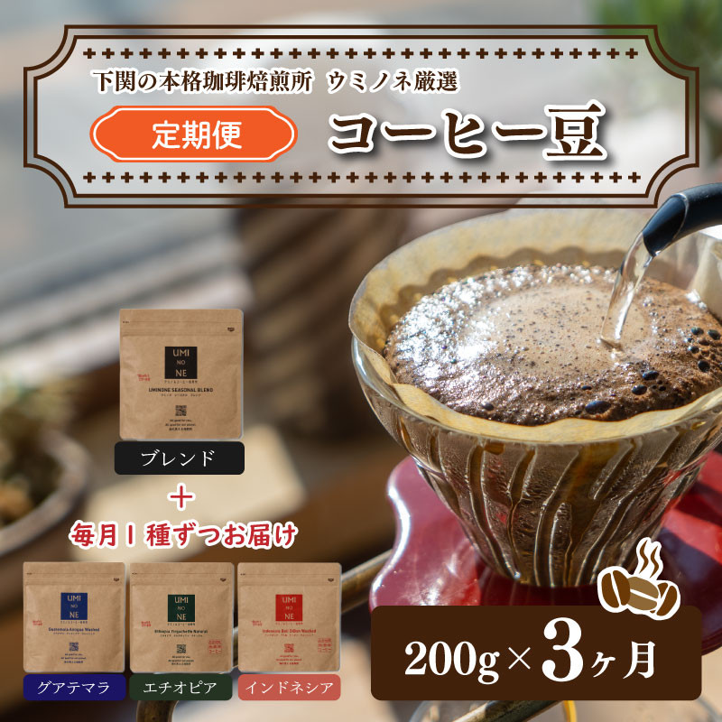 スペシャリティ コーヒー豆 定期便 200g×3回 下関市 山口