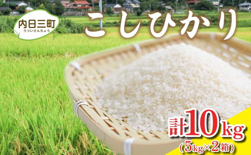 令和7年産 コシヒカリ 10kg (5kg×2箱) 山口県産 特別栽培エコ50 (化学農薬・肥料50％以上削減/精米まで一貫加工)