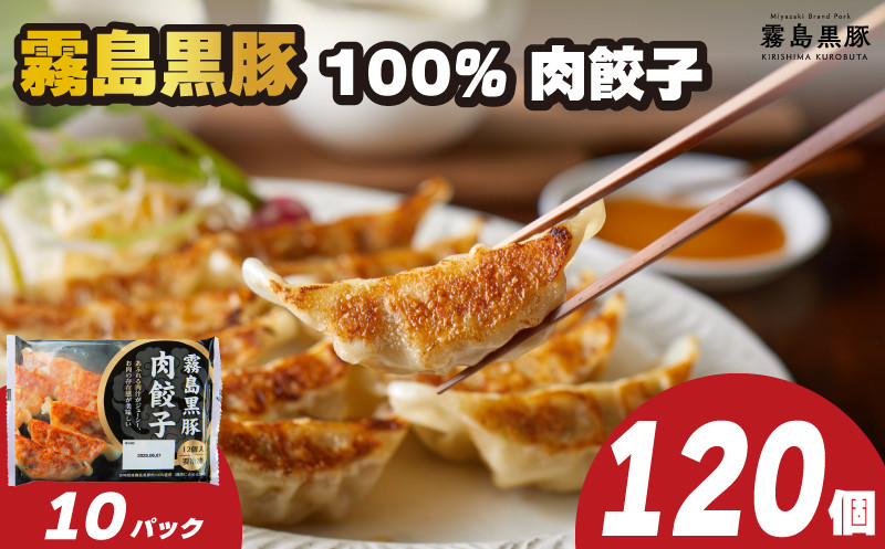 訳あり 霧島黒豚肉100％ 肉 餃子 120個 12個×10パック 冷凍 小分け 冷凍 餃子 大容量餃子 国産 餃子 簡単調理 餃子 ぎょうざ ギョーザ（ 冷凍食品 豚肉 九州産黒豚 10000円 加工食品 お手軽 簡単調理 惣菜 絶品 おかず 小分け 弁当 おつまみ 晩ごはん ) 下関 山口