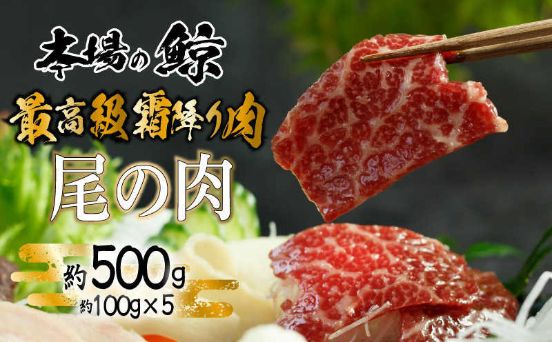 鯨 ( くじら ) 霜降り 肉 500g 冷凍 高級 おつまみ 刺身 刺し身 ユッケ カツ 竜田揚げ 揚げ物 本場 いさな 鯨 赤身肉 ブロック肉 自宅 自宅用 お中元 お歳暮 小分け 美容 ダイエット 高たんぱく 下関鯨屋日新丸 下関 山口