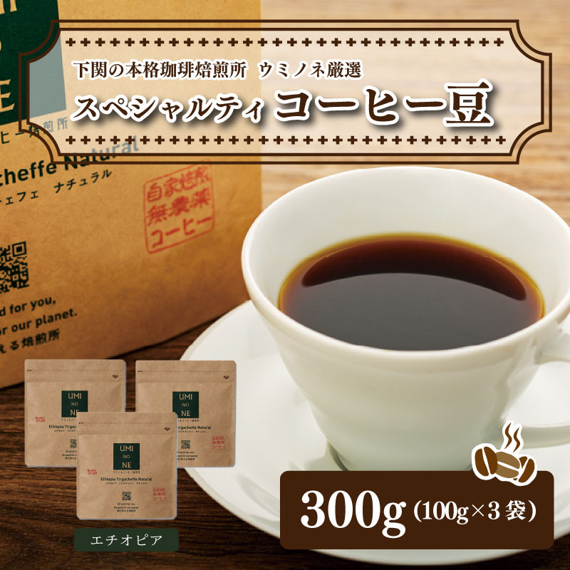 スペシャルティ コーヒー豆セット エチオピア 300g(100g×3袋) 下関市 山口