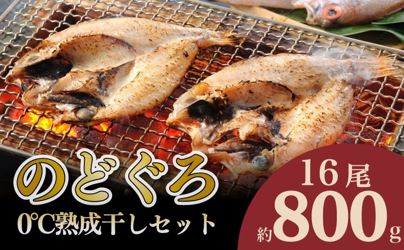 のどぐろ 開き 0℃ 熟成 干し セット 計 800g up 16尾 アカムツ 干物 冷凍 贈答 贈り物 高級 魚 脂 とろける 旨み おつまみ 肴 下関 産 人気 山賀 山口
