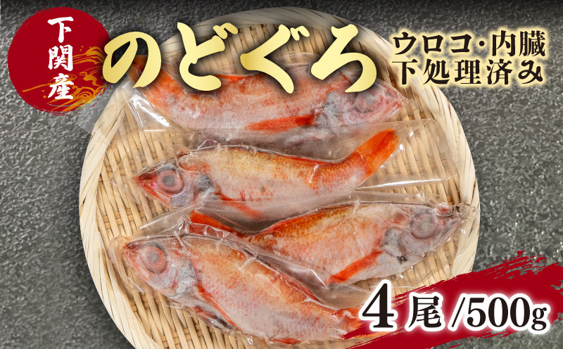 【のどぐろ 中 サイズ 4尾】 高級 ノドグロ 下処理 済み 魚 鮮魚 海鮮 冷凍 アカムツ 赤ムツ 下処理 済 白身 トロ 塩焼き 煮付け 炊き込みご飯 おかず つまみ 個包装 真空 下関 山口