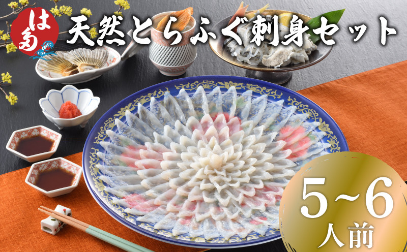 【7営業日前後で発送】 天然とらふぐ刺身セット 5〜6人前 180g 冷凍 ( フグ とらふぐ トラフグ 刺身 てっさ 刺し身 魚介 鮮魚 海鮮 高級魚 本場 河豚 ポン酢 もみじおろし 付き ギフト 贈答 祝い お中元 記念日 父の日 冬 ) 下関 山口