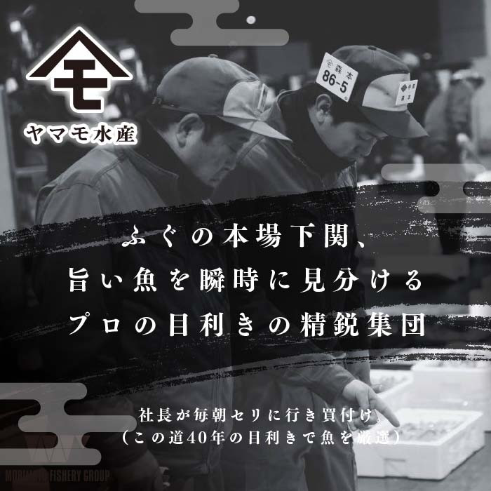 【順次発送】 ふぐ 料理 満喫 セット 4〜5人前 冷凍 ( 鮮魚 魚介 フグ刺し マフグ 国産真ふぐ 本場 ふぐ刺し 河豚 てっさ ちり 切身 あら 鍋 海鮮鍋 低カロリー 高タンパク 低脂肪 コラーゲン ポン酢 もみじおろし 昆布 付き プレゼント ギフト お中元 お歳暮 記念日 ) 下関 山口 指定日可 ヤマモ水産