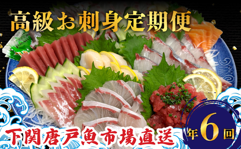 定期便 6回 唐戸市場直送 高級お刺身 各2人前 ( 定期便 高級 鮮魚 魚介 海 冷凍 小分け 定期便 お楽しみ 人気 刺身 刺し身 さしみ お手軽 解凍するだけ 地魚 産地直送 とらふぐ ふぐ トラフグ 天然 ひらめ ヒラメ つぶ貝 桜鯛 鯛 たい タイ まぐろ マグロ サーモン たこ タコ カンパチ かんぱち あじ アジ 鯵 天然 ヒラソ ヒラマサ もみじ鯛 定期便) 下関 山口県