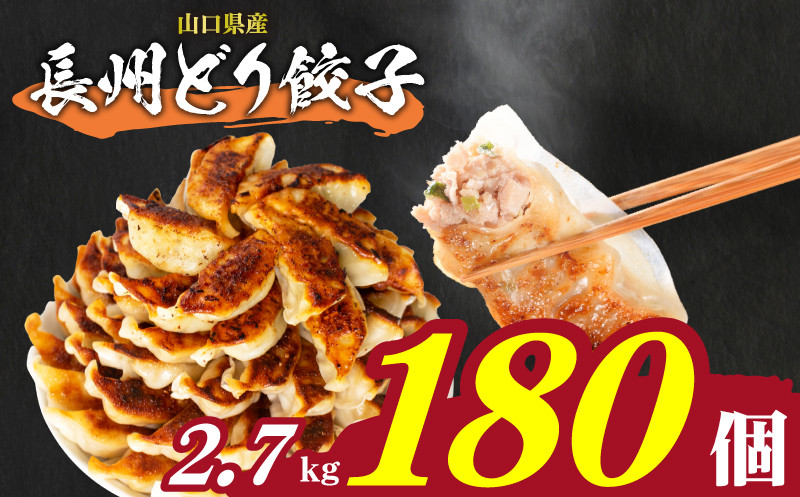 訳あり 長州どり餃子 180個 12個×15パック 冷凍 小分け 日指定可 大容量 ぎょうざ ギョウザ ギョーザ