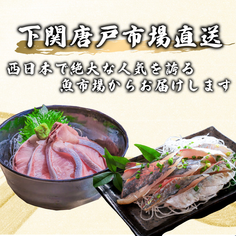 定期便 6回 唐戸市場直送 高級お刺身 各2人前 ( 定期便 高級 鮮魚 魚介 海 冷凍 小分け 定期便 お楽しみ 人気 刺身 刺し身 さしみ お手軽 解凍するだけ 地魚 産地直送 とらふぐ ふぐ トラフグ 天然 ひらめ ヒラメ つぶ貝 桜鯛 鯛 たい タイ まぐろ マグロ サーモン たこ タコ カンパチ かんぱち あじ アジ 鯵 天然 ヒラソ ヒラマサ もみじ鯛 定期便) 下関 山口県