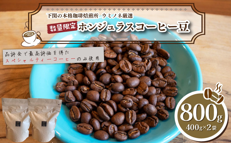 【豆】 訳あり コーヒー豆 800g ( 400g × 2袋 ) 数量限定 ホンジュラス 珈琲 自家焙煎 下関 山口
