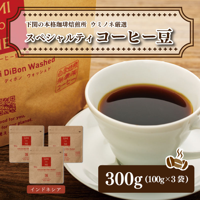 スペシャルティ コーヒー豆セット インドネシア 300g(100g×3袋) 下関市 山口