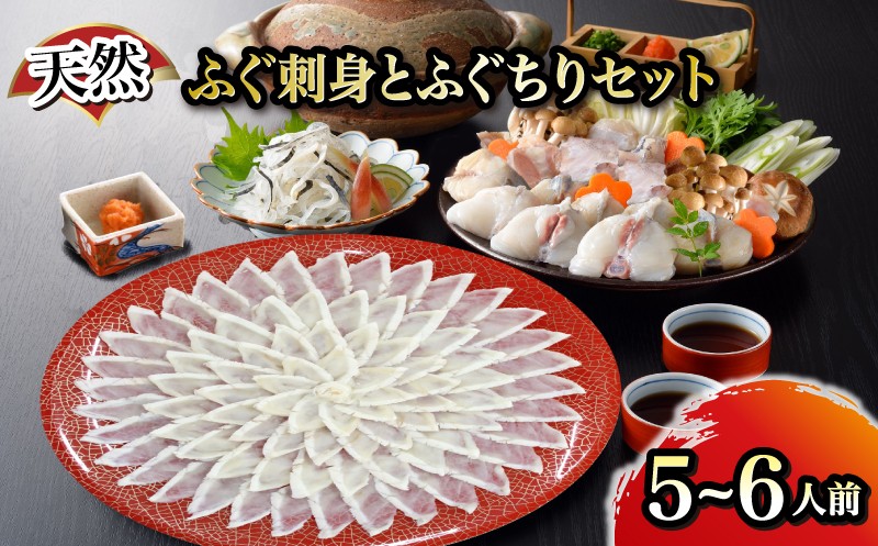 天然ふぐ刺身とふぐちりセット 5〜6人前 ふぐ てっさ フグ フグ刺し 河豚 関門ふぐ ふぐちり ちり 高級魚 鮮魚 お取り寄せ ギフト 贈答 中元 歳暮 お祝い 記念 下関 山口