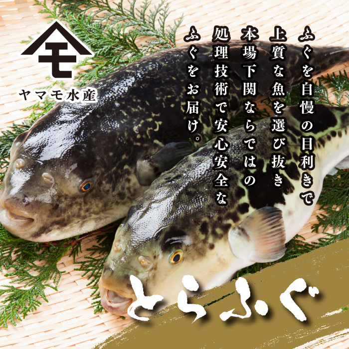 【お届け指定日必須】 ふぐ 刺身 鍋 セット 3人前 100g 冷蔵 (解凍出荷) 高級魚 とらふぐ てっさ てっちり ひれ 鍋 切身 低カロリー 高タンパク 低脂肪 コラーゲン 皮 ポン酢 もみじ 付き プラ皿 下関 山口 指定日可 ヤマモ水産 KT033z