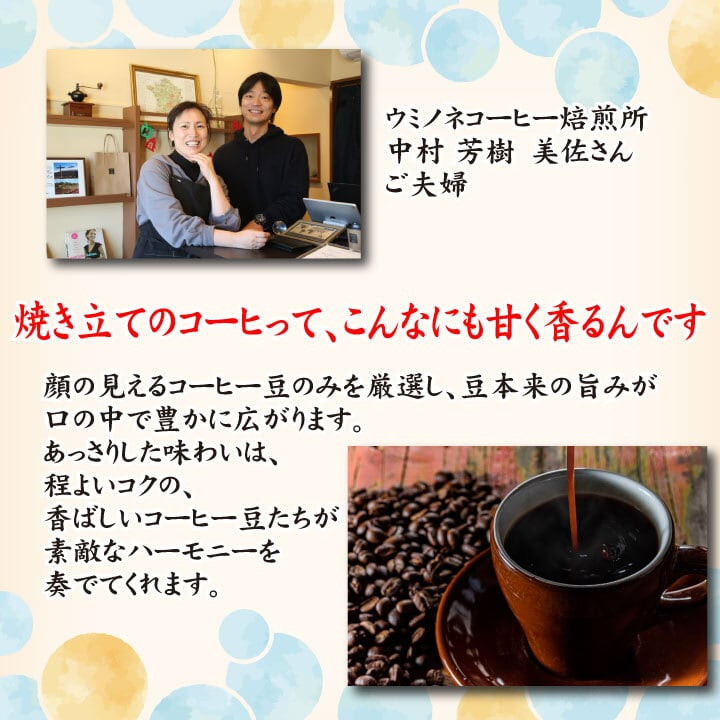 繧ケ繝壹す繝」繝ォ繝繧」 繧ウ繝シ繝偵シ雎繧サ繝繝 繧ソ繧、 300g(100gテ3陲) 荳矩未蟶 螻ア蜿」
