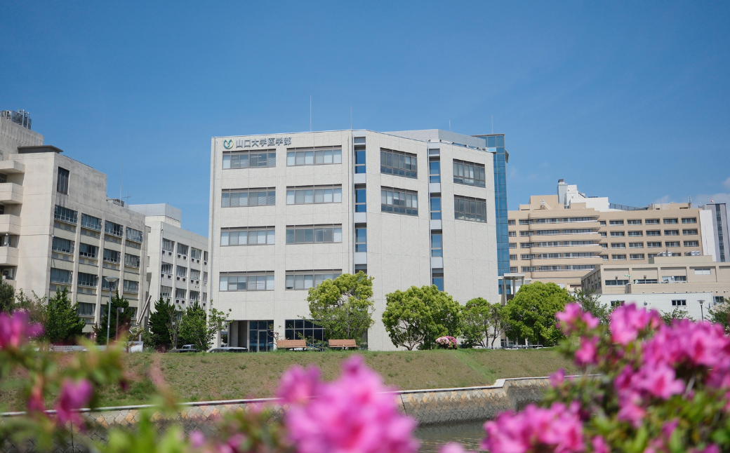 山口大学医学部への人材育成支援補助金 寄附額 30,000円  | 山口県 宇部市 山口大学 医学部 人材育成 支援 