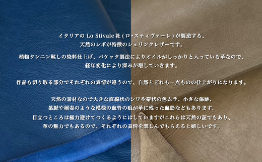 牛革ハンコケース(ブラウン)【山口県 宇部市 HankoCase 判子 本革 ギフト 贈り物】