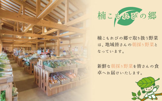 【12ヶ月定期便】新鮮野菜の産直 7〜10品目 ＜楠こもれびの郷「楠四季菜市」＞[BTBQ005]