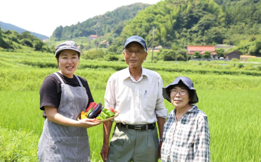 【令和6年度産】石田さんのお米 馳せ米 5kg 