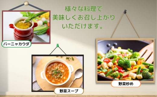 【12ヶ月定期便】新鮮野菜の産直 7〜10品目 ＜楠こもれびの郷「楠四季菜市」＞[BTBQ005]