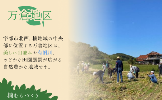 【12ヶ月定期便】新鮮野菜の産直 7〜10品目 ＜楠こもれびの郷「楠四季菜市」＞[BTBQ005]