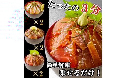 【6ヶ月 定期便】漬け丼 3種×2パック 計6食セット