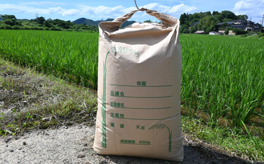 【先行予約／令和7年度新米】 ヒノヒカリ 5Kg ［玄米］［山口県宇部産］ 【令和7年度 新米 ヒノヒカリ 5Kg 玄米 山口県産 宇部産 地元米 農家直送 宇部市産 美味しい お米 寒暖差 霜降山麓 綺麗な水 高品質米 新鮮米 収穫直後 国産米 ご飯 炊き立て 美味しさ長持ち】