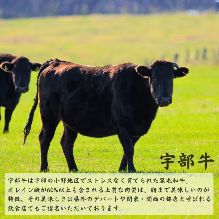 【黒毛和牛】宇部牛 瓦そば 7個セット[BTEO002]