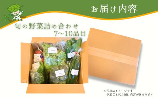 【12ヶ月定期便】新鮮野菜の産直 7〜10品目 ＜楠こもれびの郷「楠四季菜市」＞[BTBQ005]